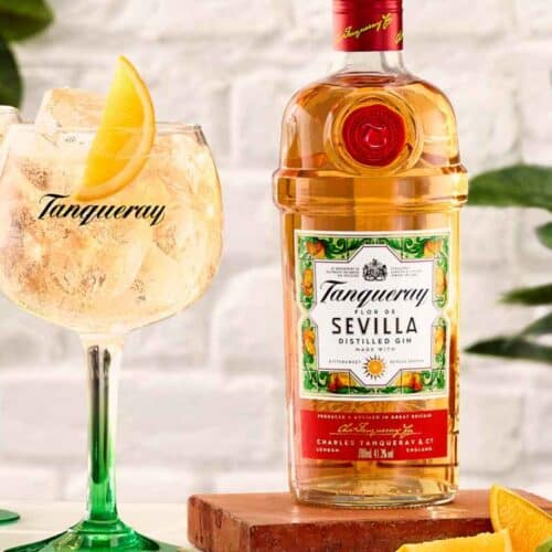 Tanqueray Flor De Sevilla Gin and tonic 1200 x 800