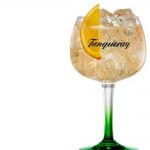 Tanqueray Flor de Sevilla G&T - Pinterest