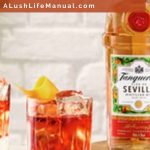 tanqueray flor de sevilla negroni - Pinterest1