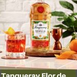 tanqueray flor de sevilla negroni - Pinterest2