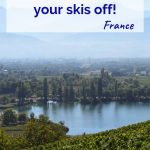 Discover why Savoie Wines knock your skis off! Pinterest