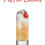 Puffin Collins, Reyka Vodka, Iceland - Pinterest Recipe (1)