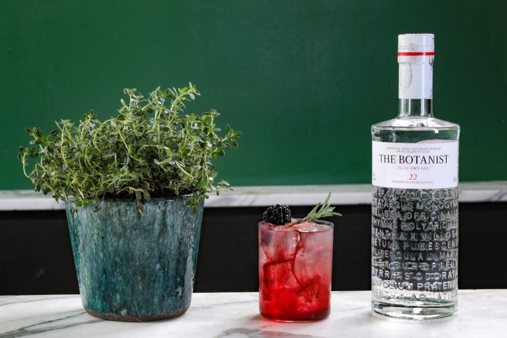 The Botanist Bramble