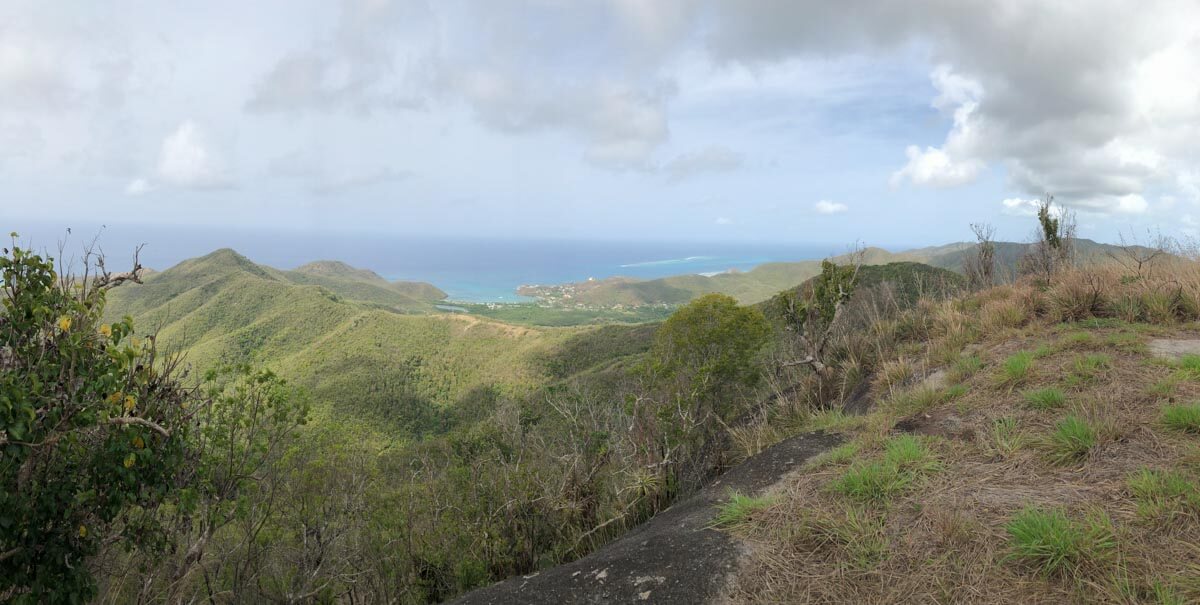 Antigua Bars - Signal Hill