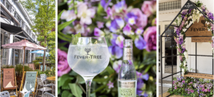 Bluebird | Fever-Tree