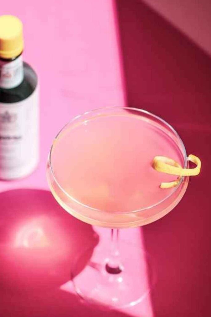 Pink Gin Martini - Pinterest 2