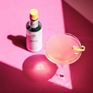 Pink Gin Recipe