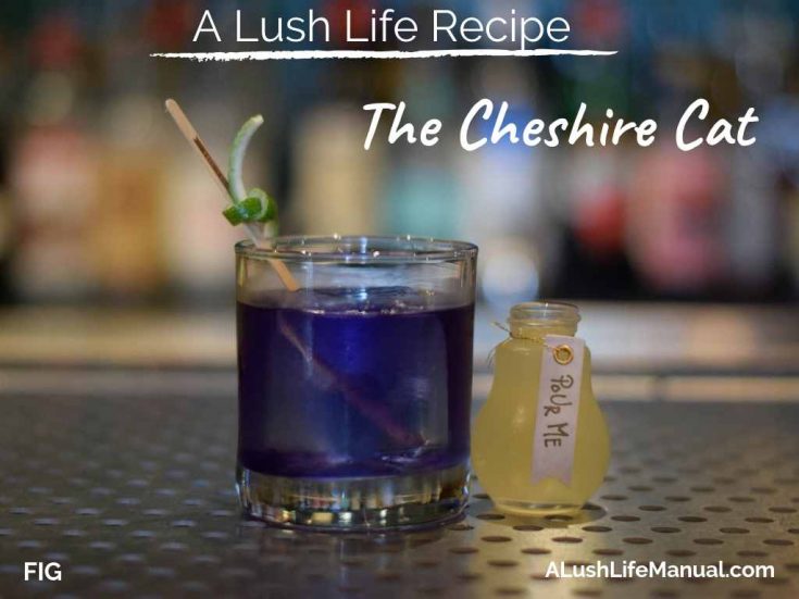 The Cheshire Cat, FIG, Charleston, South Carolina