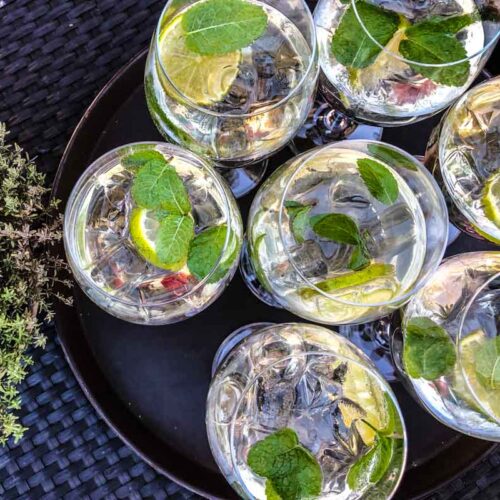 Drinking in Trentino - Hugo Cocktail