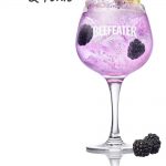 Beefeater Blackberry Gin - Pinterest