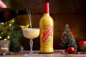 Warninks Snowball Fizz 1200 x 800