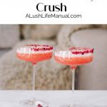 CÎROC Red Berry Crush - Pinterest 2