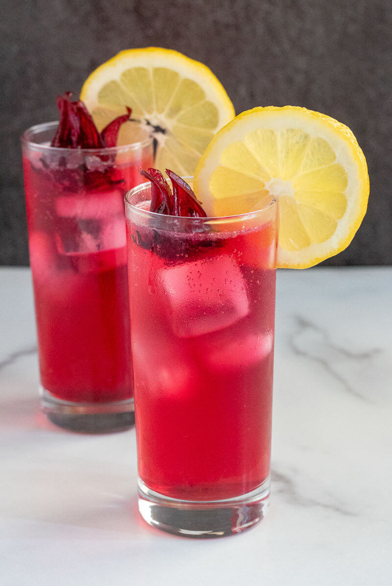 Hibiscus-Gin-and-Tonic