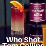 Who Shot Tom Collins, Four Pillars Gin - Gin Cocktail Recipe