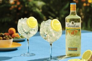 Gordon's Sicilian Lemon & Tonic (1200 x 800 px)