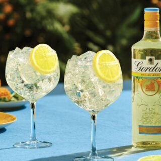 Gordon's Sicilian Lemon & Tonic (1200 x 800 px)