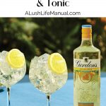 How to make the Gordon's Sicilian Lemon & Tonic - pinterest