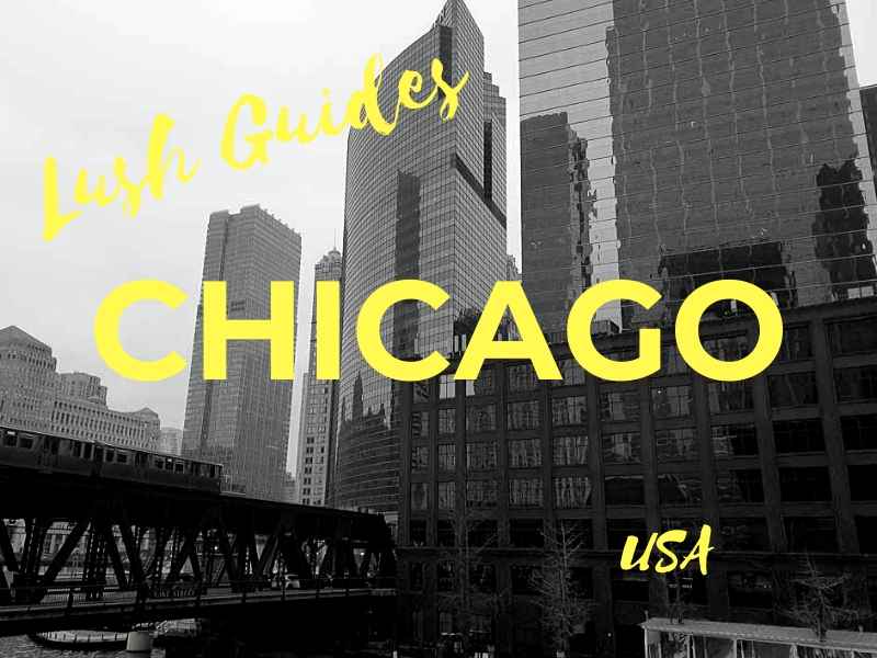 Lush Guide to the Best Bars in Chicago