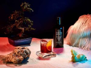 Three Spirit Negroni Cocktail Recipe