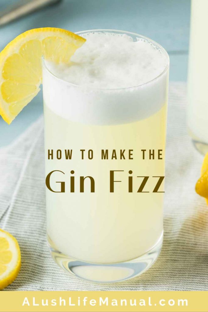 Gin Fizz - Pinterest Recipe 1