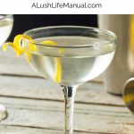 Gin Martini - Pinterest