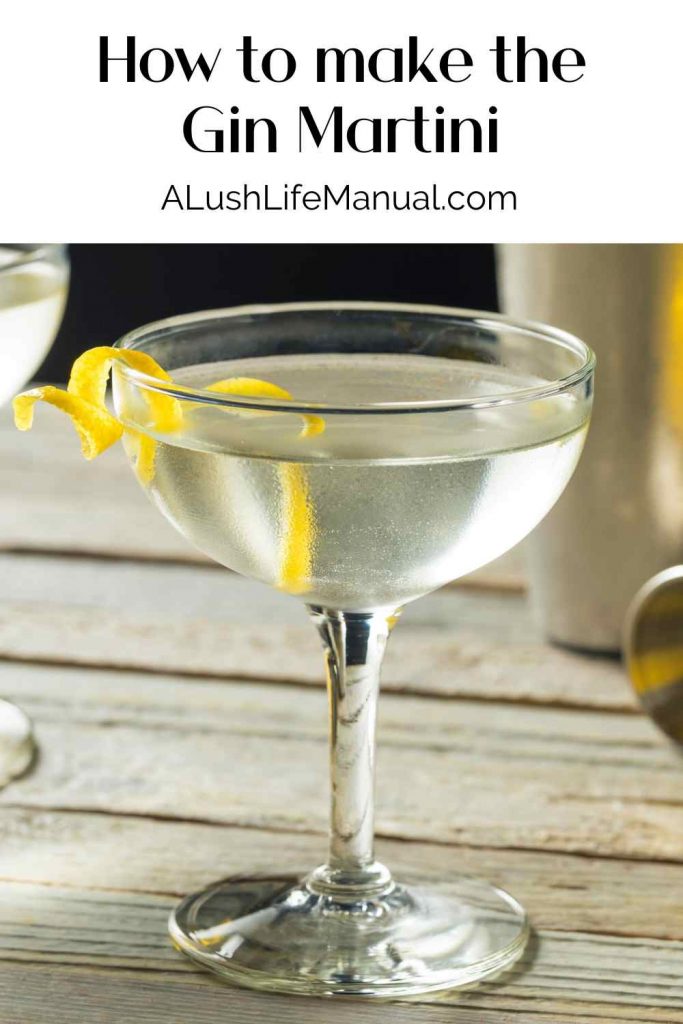 Gin Martini - Pinterest