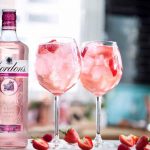 Gordon's Pink Gin & Tonic