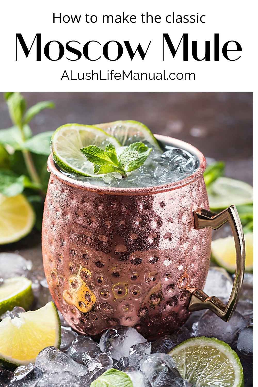 Moscow Mule Cocktail How To Make