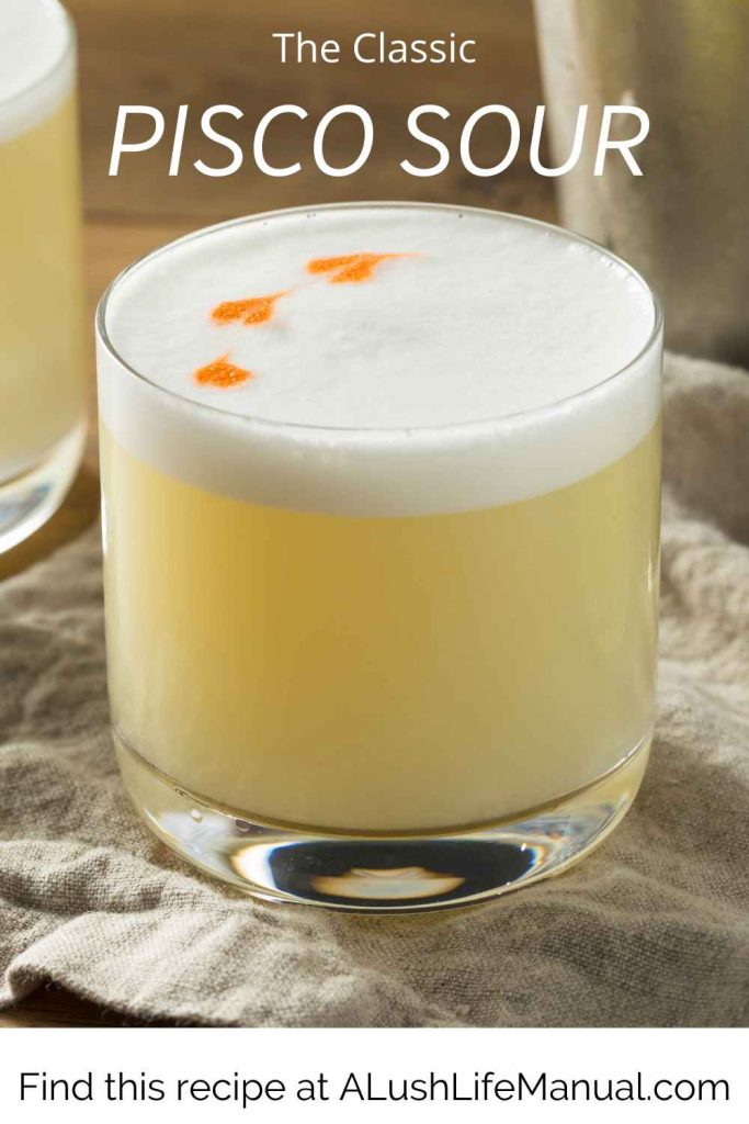 Pisco Sour - Pinterest Recipe 2