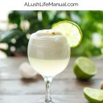 Pisco Sour - Pinterest Recipe 3