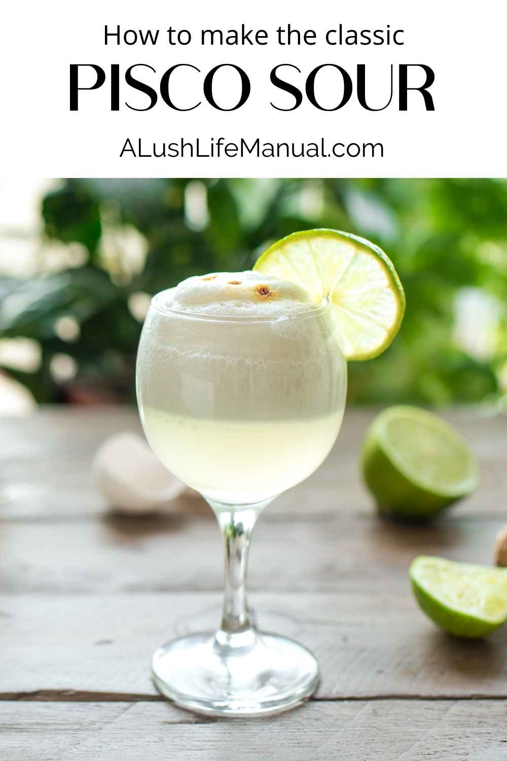 How To Make A Pisco Sour