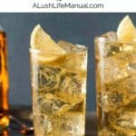 Whisky and Ginger Highball - PIN