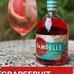 Pampelle small - Pinterest2