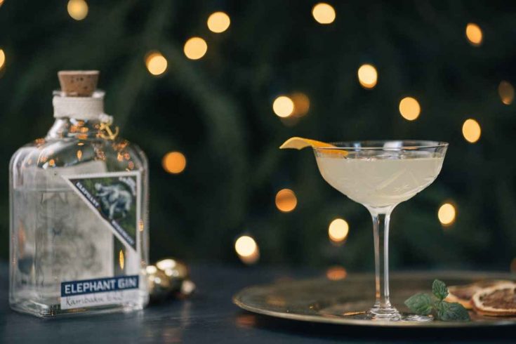 Elephant Gin Dzombo Spritz