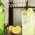 Tanqueray 10 Tom Collins Pinterest 5