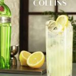 Tanqueray 10 Tom Collins Pinterest 5