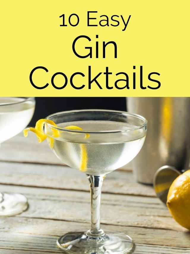 10 Easy Gin Cocktails Web story