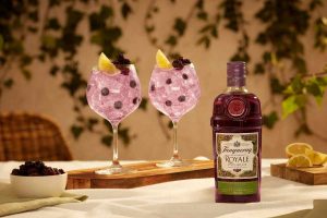Tanqueray Blackcurrant Royale and Tonic