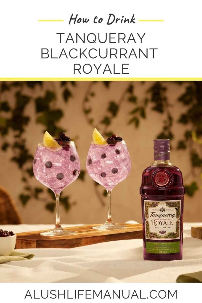 How-to-Drink-Tanqueray-Blackcurrant-Royale-Pinterest