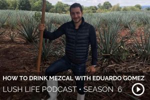 How to Drink Mezcal with Eduardo Gomez