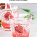 Dirty Shirley Drink - Pinterest