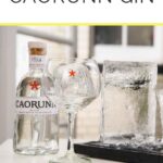 How-to-Drink-Caorunn-Gin-Pinterest