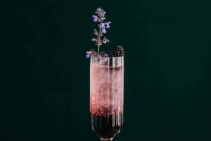 Sing Gin Blackberry Sing Fizz