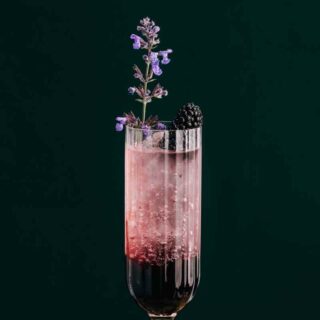 Sing Gin Blackberry Sing Fizz