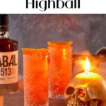 The Bloody Highball - Pinterest