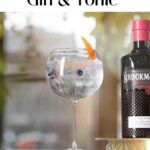 Brockmans Gin and Tonic pin