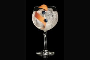 Brockmans Gin new Gin and Tonic