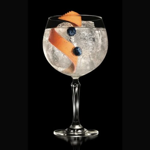 Brockmans Gin new Gin and Tonic