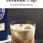 Samuel Gelston’s Benbane Cup Pin