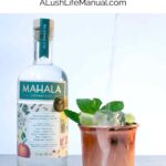 Mahala Mule - Pinterest